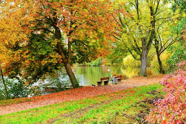 Sonbahar manzarası. Banklarla park edin..