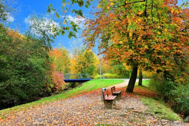 Sonbahar manzarası. Banklarla park edin..