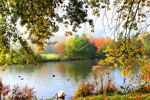 Parkta gölü olan güzel renkli sonbahar manzarası.
