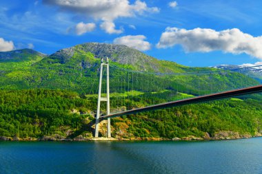 Hardangerous Köprüsü, Norveç 'in Hordaland ilçesindeki Hardangerous fjorden şubesinin üzerinde..