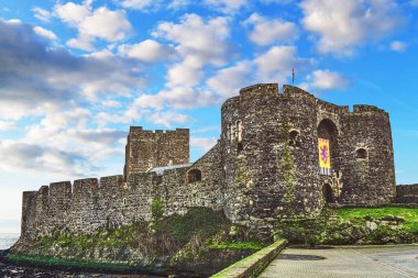 Carrickfergus kalesi Carrickfergus 'ta Norman tarzı bir kaledir. Kuzey İrlanda.