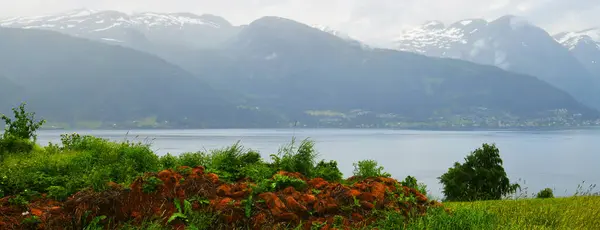 Sognefjord ya da Sognefjorden Norveç 'in en uzun ve derin fiyortlarıdır. Batı Norveç 'in Vestland ilçesinde yer almaktadır..