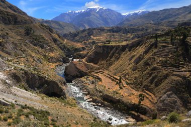 3.270 metre derinliğiyle Colca Kanyonu dünyanın en derin ikinci kanyonudur.. 