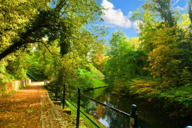 Sonbahar manzarası. Sonbahar parkında yol.