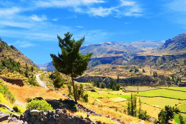 Colca Kanyonu, Peru 'nun güneyinde, Arequipa' nın yaklaşık 100 kilometre kuzeyinde yer almaktadır. Vadi, dünyanın en derin vadilerinden biridir..