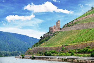 Ehrenfels Kalesi, Almanya 'nın Rdesheim kenti yakınlarındaki Rhine Nehri üzerinde yer alan harabe bir kaledir. 13. yüzyılın başlarında nehir ticaretini korumak ve geçiş ücreti toplamak için inşa edildi..
