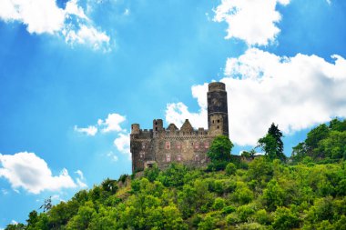 Maus Kalesi (Almanca: Maus Castle), Almanya 'nın Ren Nehri kıyısında yer alan St. Goarshausen kasabasının yukarısında bulunan bir ortaçağ kalesidir..