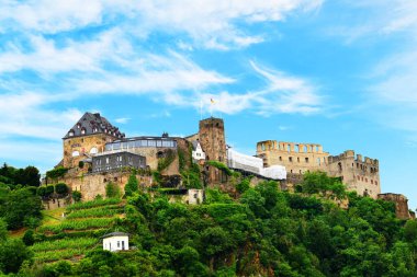 Burg Rheinfels, Almanya 'nın Ren Nehri üzerinde yer alan St. Goar kasabasının üzerinde yer alan büyük bir ortaçağ kalesidir. 1245 yılında Katzenelnbogen Kontu V. Diether tarafından inşa edilen kale, bir zamanlar Orta Ren Vadisi 'nin en güçlü kalesiydi..
