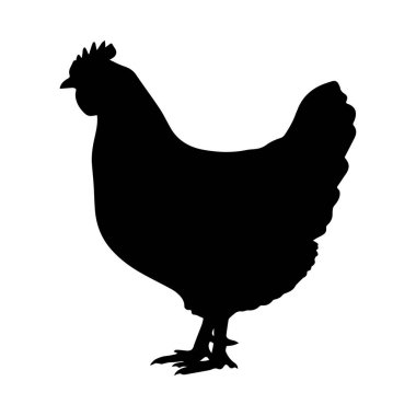 siyah bir tavuğun silueti