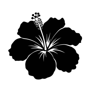bir Hibiscus çiçeğinin siyah siluetleri