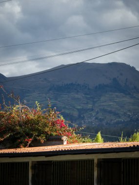 Çatı çiçekleri ve güzel bir dağ.
