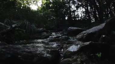 Nehir deresinin güzel manzarası