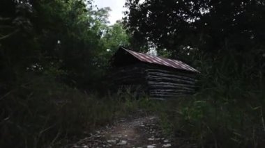 Ormandaki ahşap bir kulübenin yatay görüntüsü.