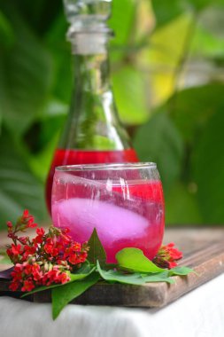 Ferahlatıcı İçecek Justicia Spicigera, Buzlu Bardak ve Kırmızı Çiçeklerle Tahta Sürahi, Cam Taklacı 'da Justicia Spicigera ve Kırmızı Çiçekli Sürahi