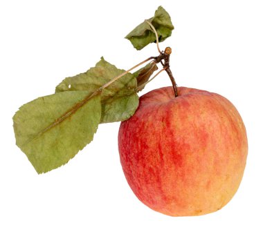 ripe apple with leaves on on a white background