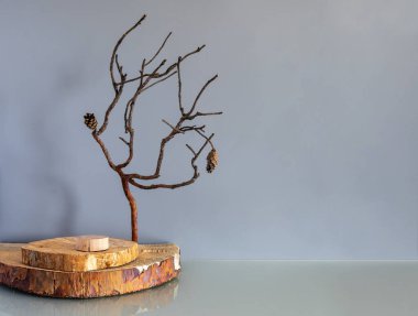 Bir ağaç kesiği, bir podyum ve güzel kuru bir çam dalı. Gri arka planda ürünler sergileniyor. Ürün markalaşması, sunum için maket. Ürünler, kozmetik ürünleri, mücevherler için arka plan.