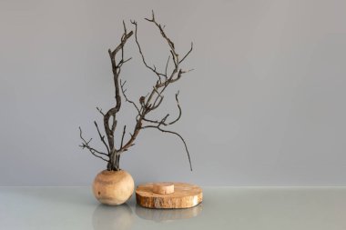 Bir ağaç kesiği, bir podyum ve güzel kuru bir çam dalı. Gri arka planda ürünler sergileniyor. Ürün markalaşması, sunum için maket. Ürünler, kozmetik ürünleri, mücevherler için arka plan.
