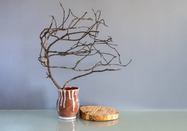 Bir ağaç kesiği, bir podyum ve güzel kuru bir çam dalı. Gri arka planda ürünler sergileniyor. Ürün markalaşması, sunum için maket. Ürünler, kozmetik ürünleri, mücevherler için arka plan.