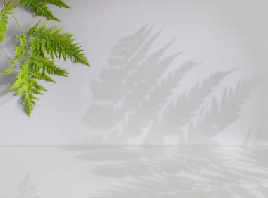 Boş masa ve gri duvar. Eğreltiotu yaprağının gölgesi. Sunum çizelgesi. Ürünlerin markası, kozmetik ürünleri, mücevherler.