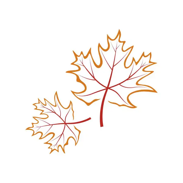 Akçaağaç yaprağı logosu tasarımı çizimi