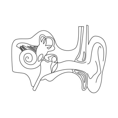  İnsan kulak simgesi tasarımı illüstrasyonu