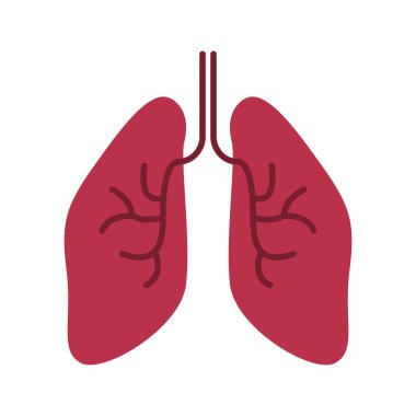 İnsan vücut organları simgesi tasarımı