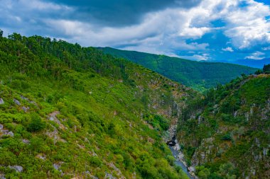 Güneşli bir günde, orman dağları arasındaki vadideki nehrin fotoğrafı.