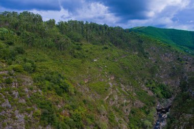Yoğun yeşilliklerle kaplı engebeli yamaçlar, dağınık kayalar ve aşağıdaki vadide kıvrılan yumuşak bir dere, yumuşak bulutlu bir gökyüzünün altında..