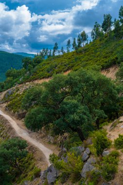 Eğri toprak yol, dağılmış ağaçlar, çalılar, yuvarlanan tepeler ve yumuşak bulutlarla dolu çimenli bir yamaçtan geçer.