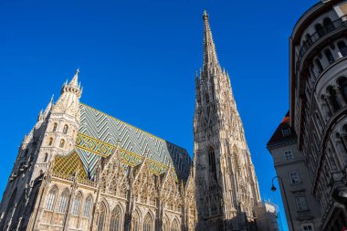 Avusturya 'nın önemli bir dini sembolü olan antik Gotik St. Stephen Katedrali' nin fotoğrafı.