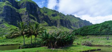 Kualoa Çiftliği Oahu Hawaii