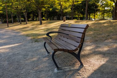 Yaz aylarında halka açık bir parkta boş bir bank, sabahın erken saatlerinde ağaçların gölgesinde oturur. Arka plandaki sarı-kahverengi çimlerin üzerinde yumuşak zıt gölgeler oluşturur..