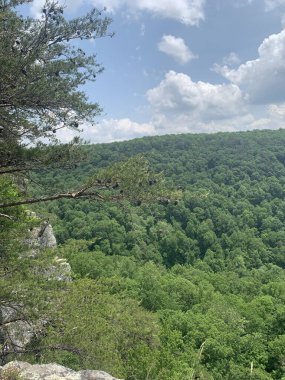 Yeşil dağların manzarası