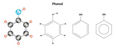 Fenol kimyasal yapısı ve fenol kimyasal sembolü