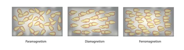 Mıknatıs tipleri - para ferro ve diamagnetizm