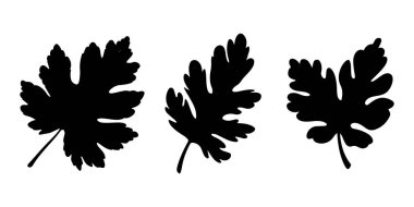  Three Elegant Black Leaf Silhouettes vector on white background clipart