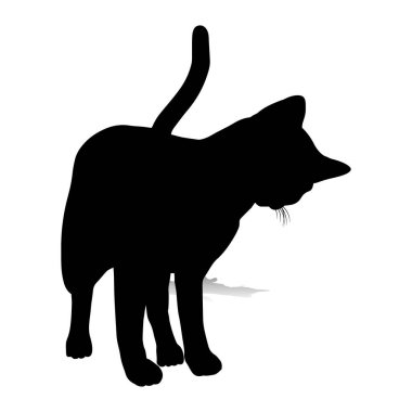 cat silhouette, vector sphinx, side view, cat breeds, pet, animals cat. clipart