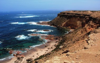 Güney Avustralya 'daki Seals Körfezi