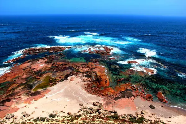 Güney Avustralya 'daki Seals Körfezi