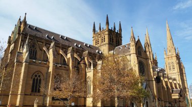 Sidney, Avustralya 'daki St Mary Katedrali