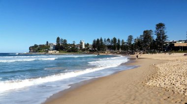 Dee Neden Sidney, Avustralya 'da kumsal