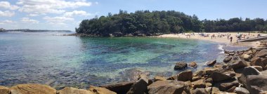 Sydney 'deki Shelly plajı