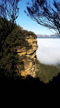 Wentworth Şelaleleri Mavi Dağlar, Avustralya