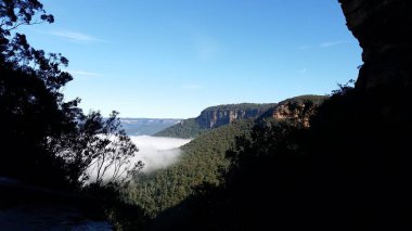 Wentworth Şelaleleri Mavi Dağlar, Avustralya