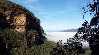 Wentworth Şelaleleri Mavi Dağlar, Avustralya