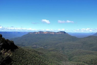 Mavi Dağları Milli Parkı içinde Avustralya