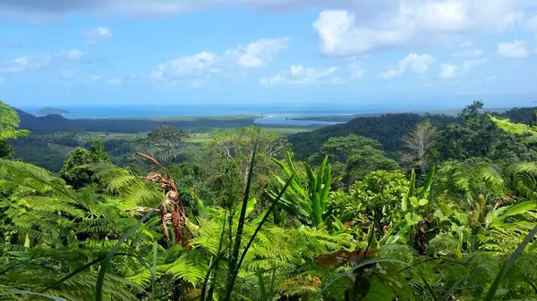 stock image Cape Tribulation in Far North Queensland in Australia