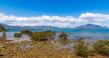 Yeni Kaledonya 'da Noumea