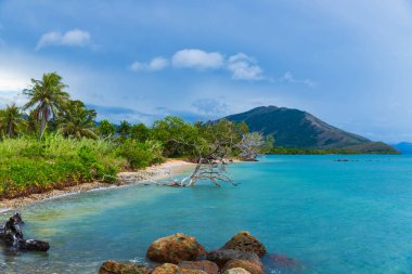 Yeni Kaledonya 'nın kuzeyindeki Grande Terre bölgesi.