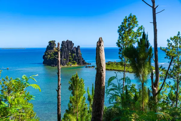 Stock image Poule couveuse de Hienghene, New-Caledonia